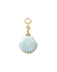 Hair Clip Charm