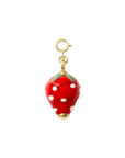Hair Clip Charm