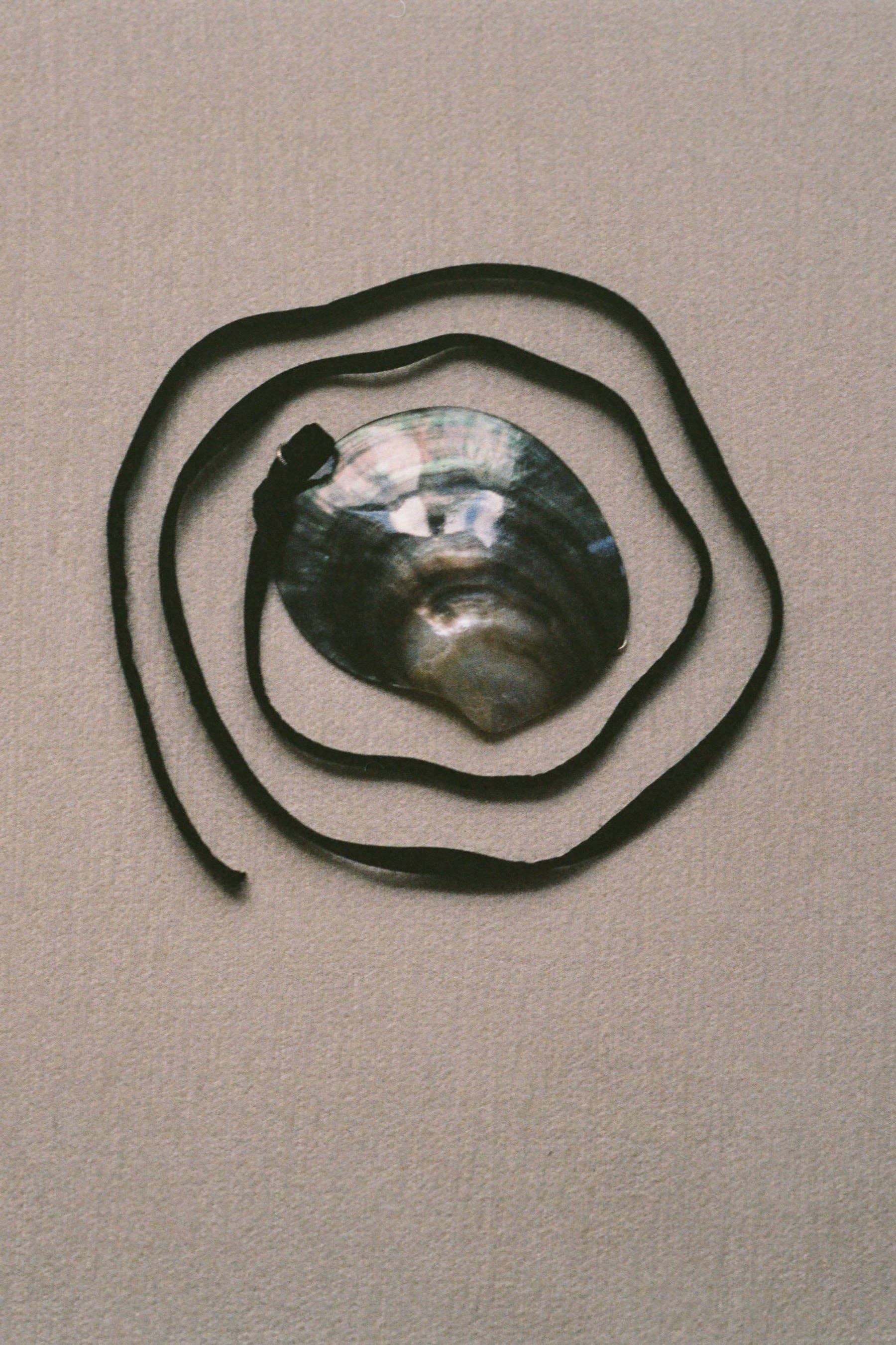 Silk Shell Belt