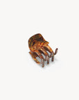 Mini Claw