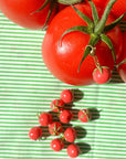 Tomato Bag Charm