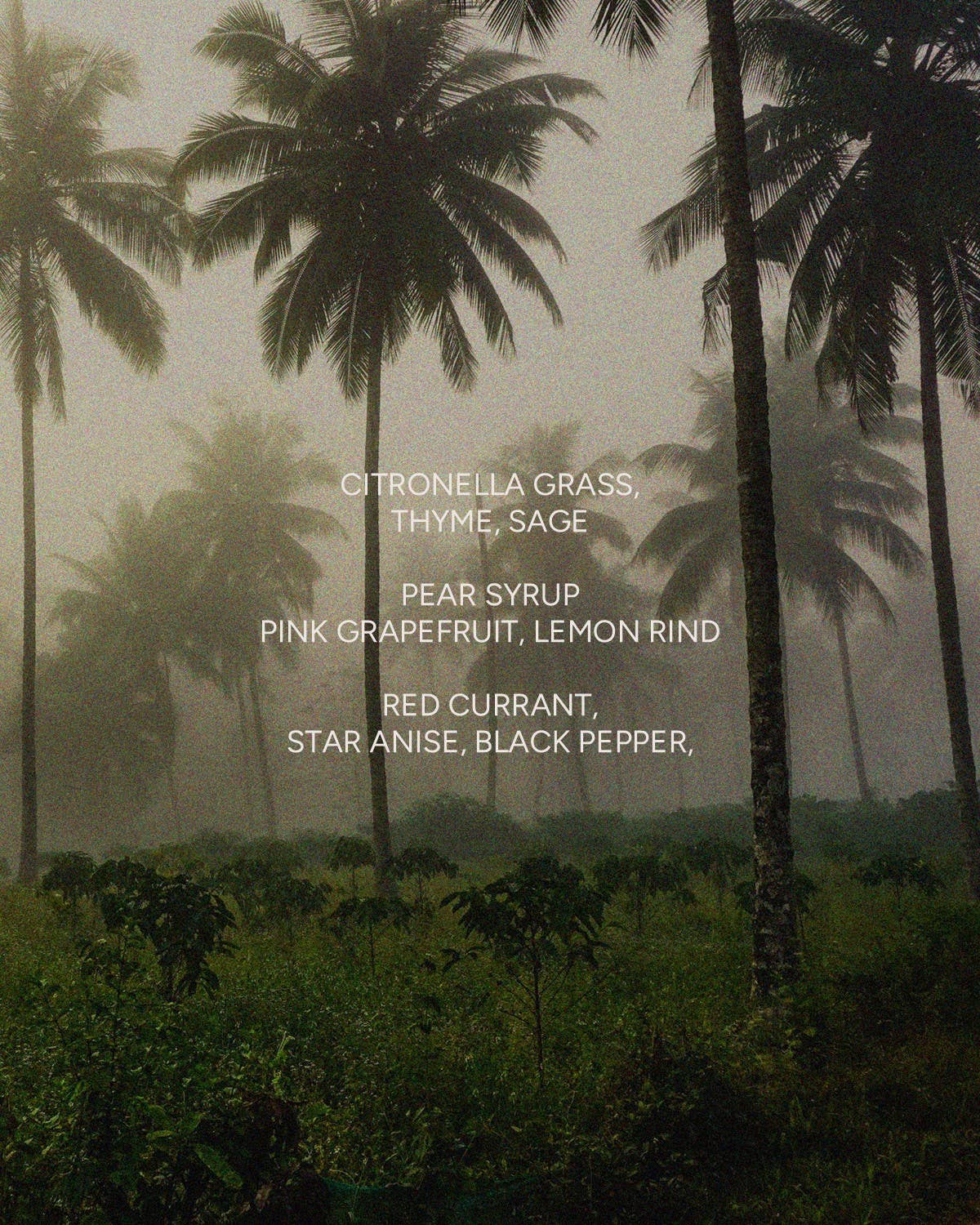 Mosquito Coast Candle