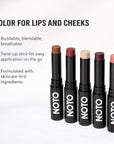 Multi-Bene Stick for Lips & Cheeks