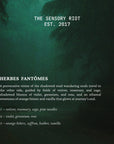 Herbes Fantomes Candle