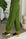 Collard Green