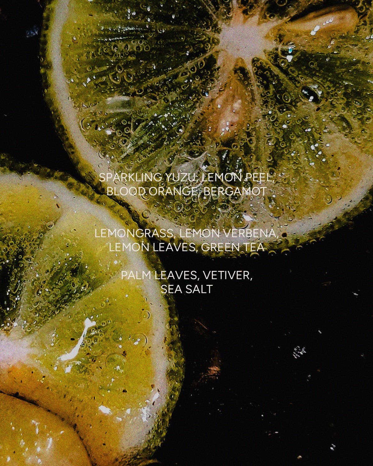 Yuzu Coast Candle